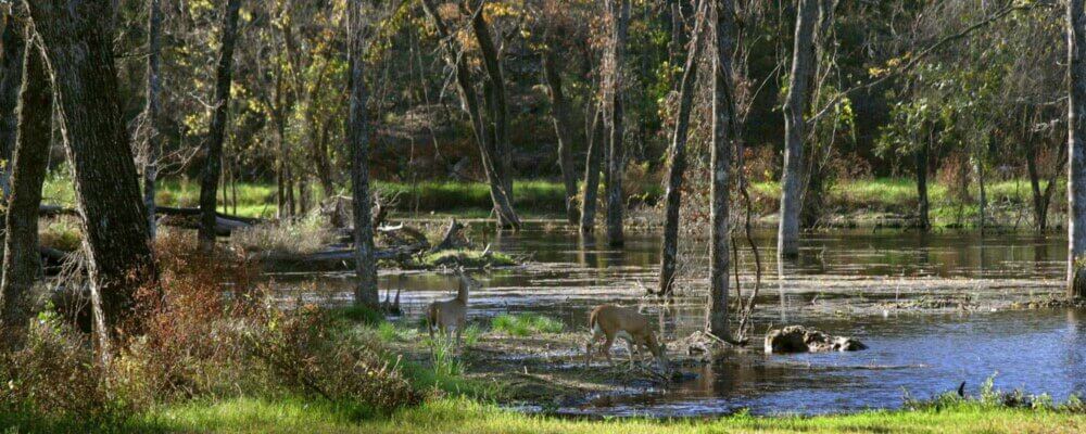 How to Select Land to Optimize Your Wildlife Goals