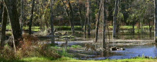 How to Select Land to Optimize Your Wildlife Goals