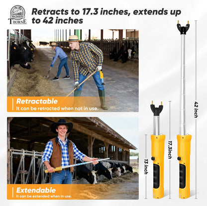 West Thorne Pro Livestock Prod R Series