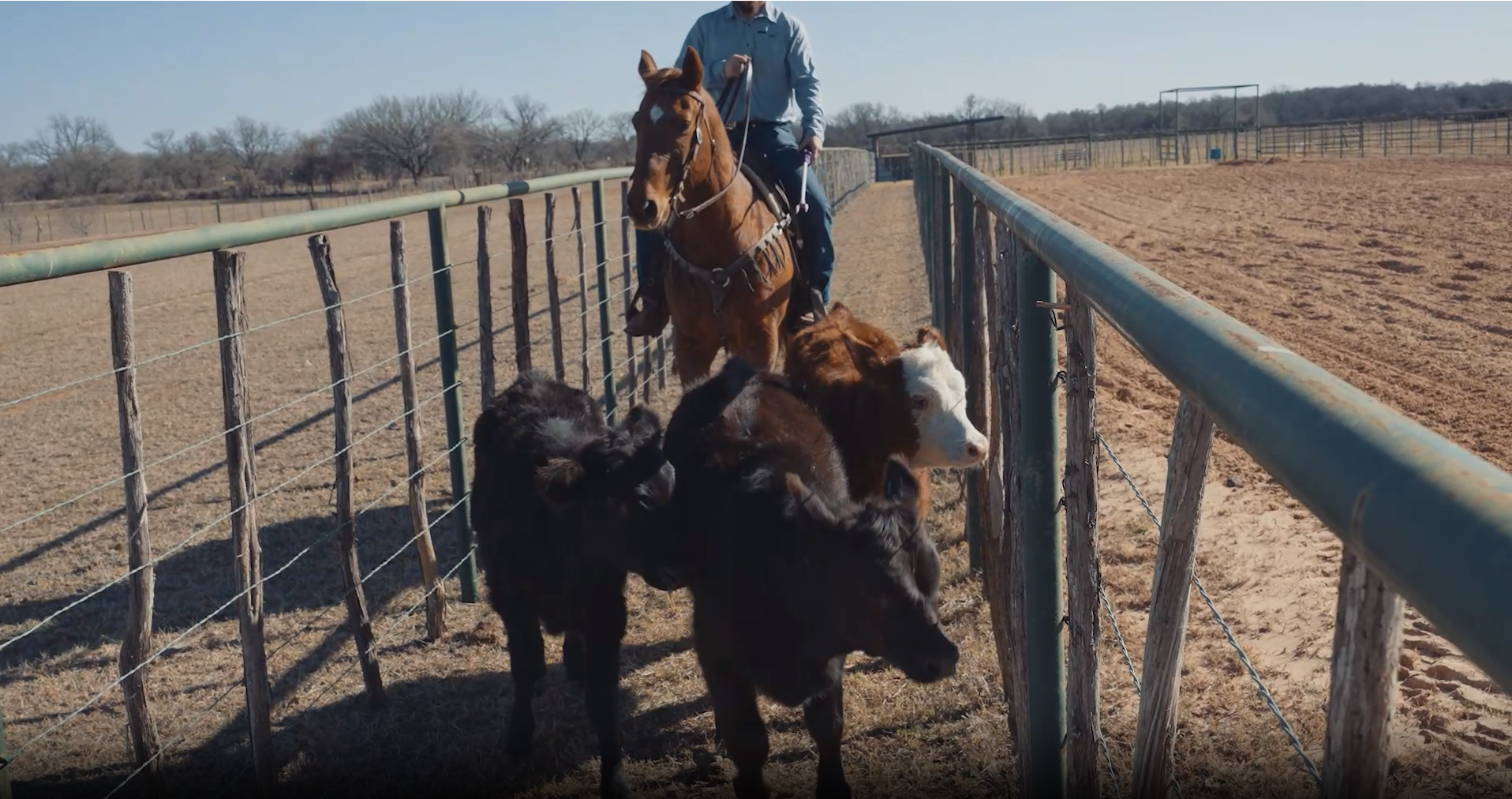 West Thorne Pro Livestock Prod X Series